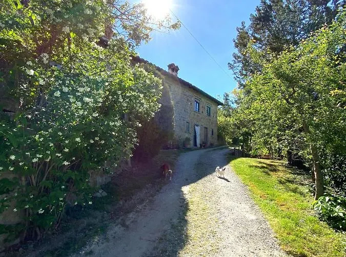 Attulaio Vicchio