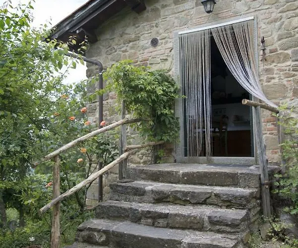 Attulaio Vicchio